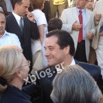 Γάμος Άδωνι Γεωργιάδη και Ευγενίας Μανωλίδου
