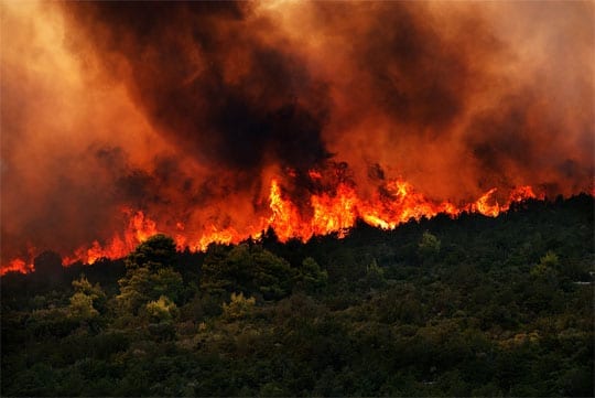 Δασική πυρκαγιά στο Μαραθώνα