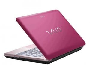 Sony Vaio M13 Series P