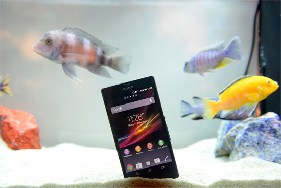 Το Sony Xperia Z βουτηγμένο μέσα σε ένα ενυδρείο
