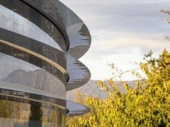 Apple Park building trees