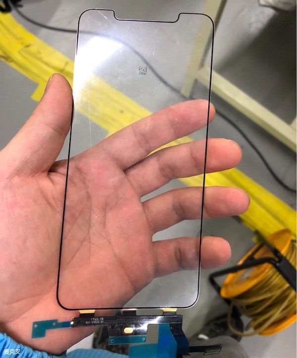 iPhone X Plus screen leak