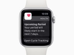 apple watchos6 cycles upcoming 060319